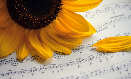 조용필 콘서트 다시보기