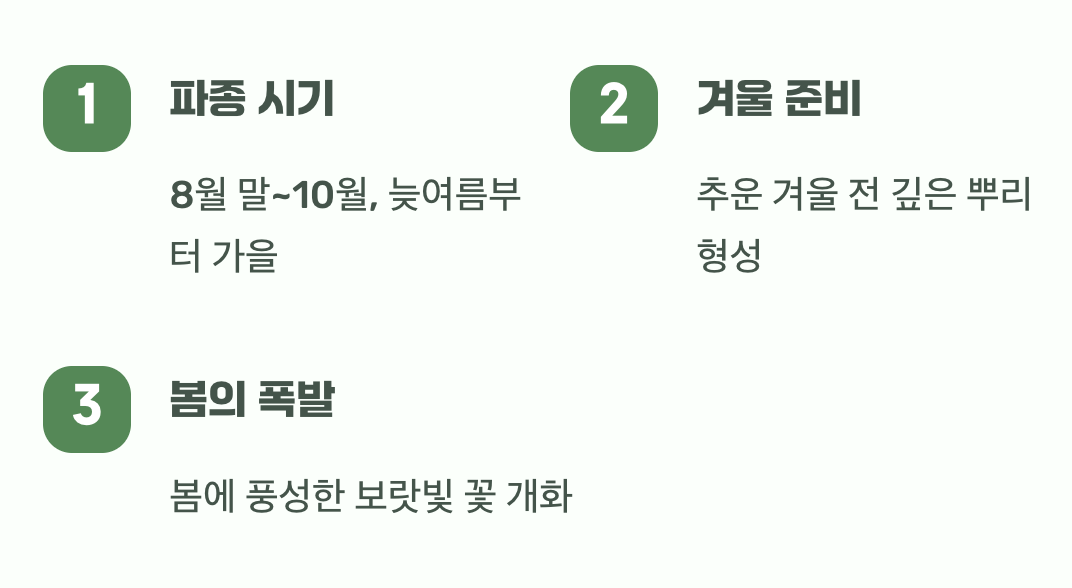 가장 중요한 비밀, 가을에 뿌리세요