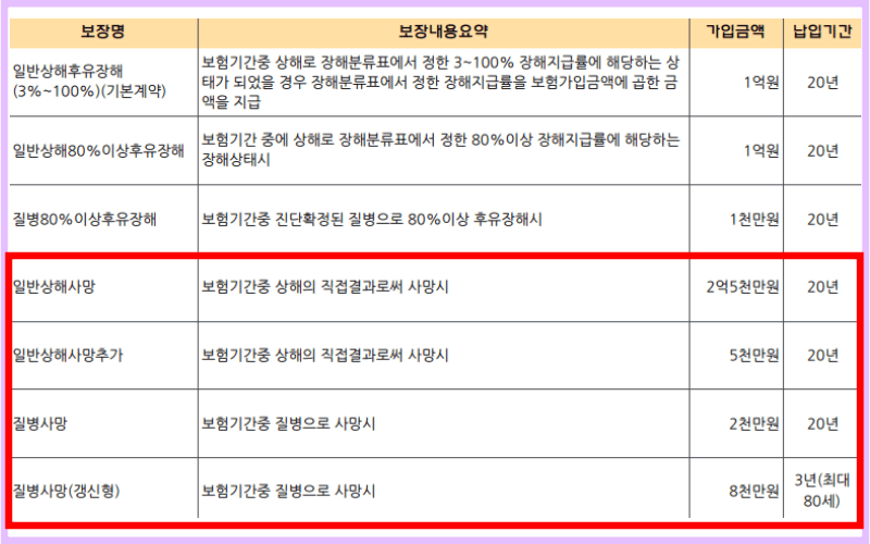 KB손해보험-일반-상해사망-질병사망-보험