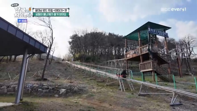 어서와-한국은-처음이지-1인용-롤러코스터