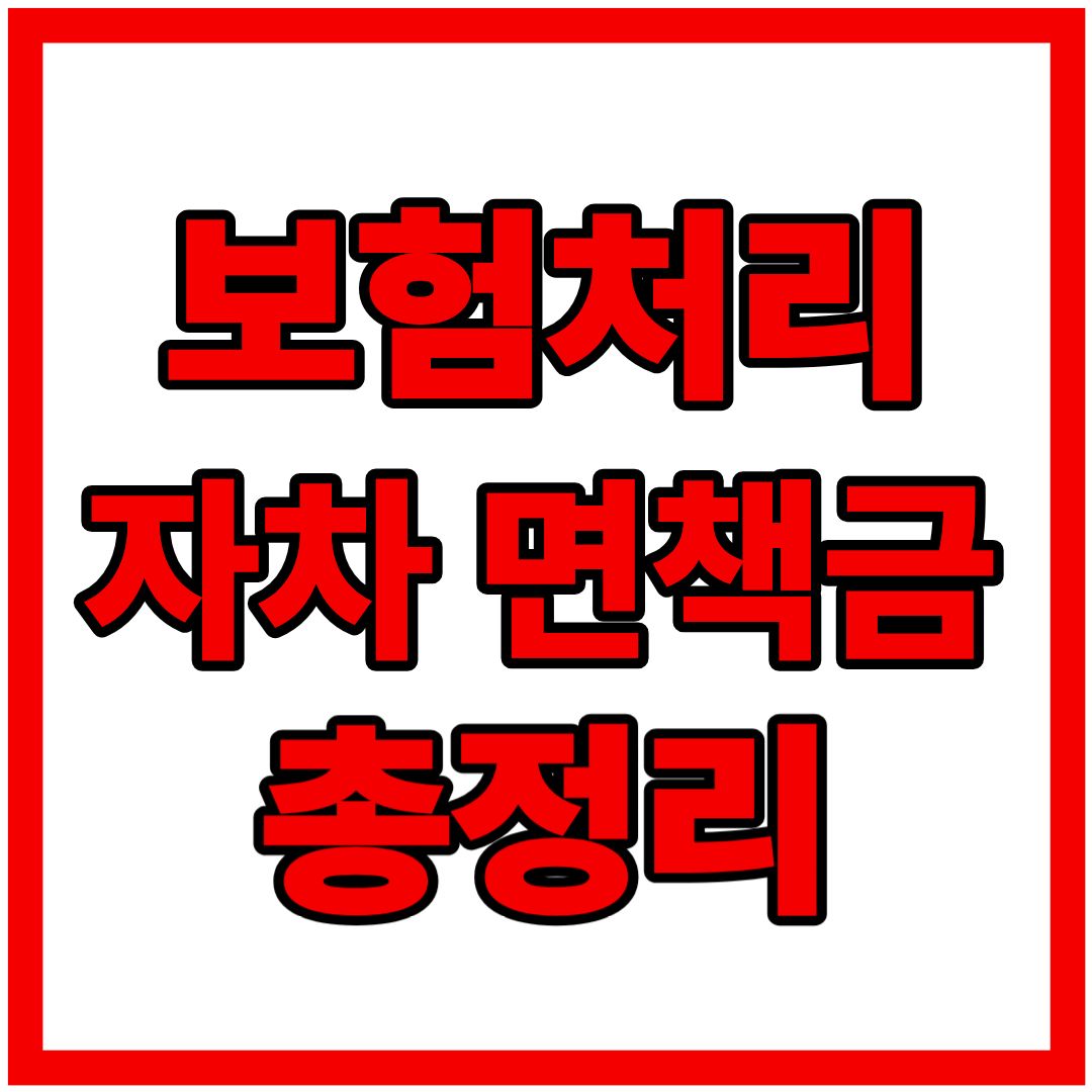 자차 보험 면책금 기준부터 가입 팁까지 완전 정리