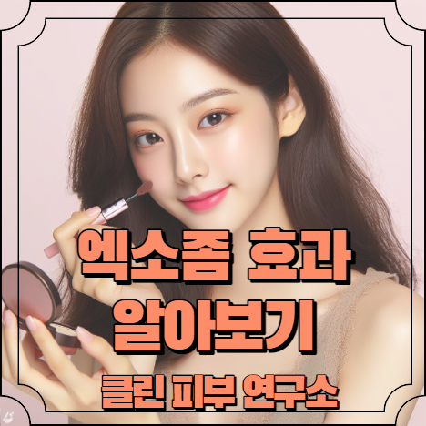 엑소좀 효과 알아보기