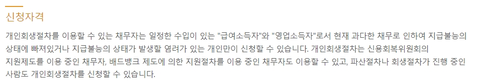 개인 회생 신청 자격에 대한 요약 정보 화면