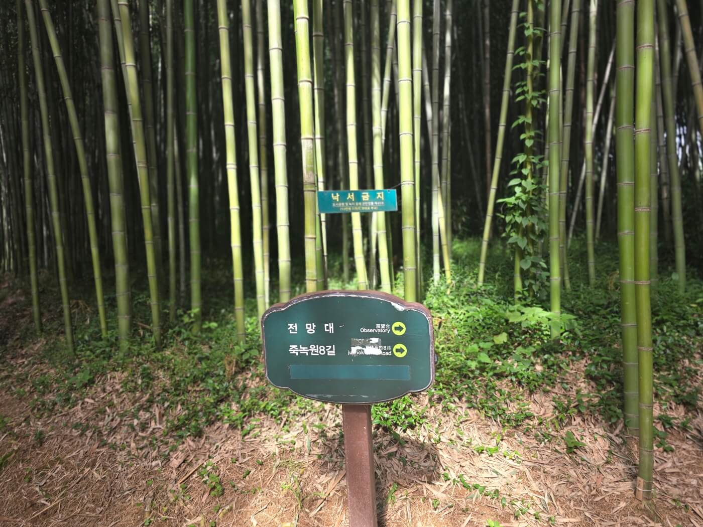 이정표2