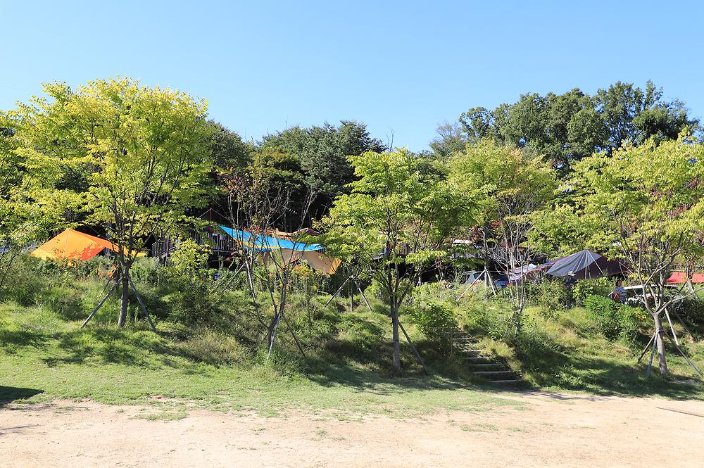 서울 노원구 초안산캠핑장 소개