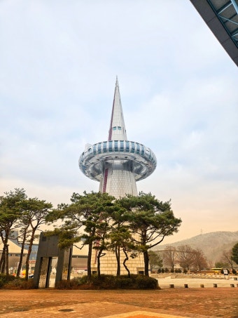 대전 진남포면옥(6시 내고향 방영)｜평양냉면의 진심을 만나는 곳