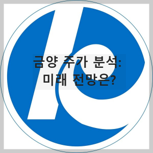 금양 주가