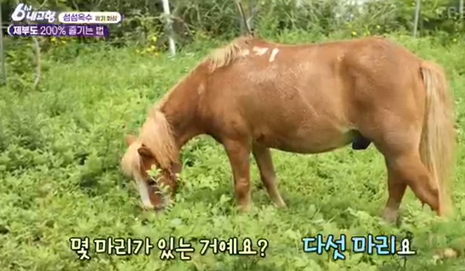 제부도 가볼만한곳