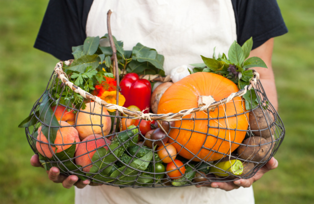 바구니에 각종채소가 담겨있다.