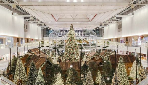 현대백화점에 설치된 크리스마스 트리