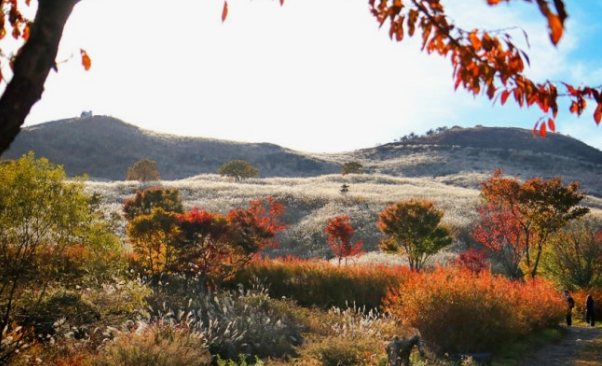 황매산 단풍 절정 시기와 추천 코스 완전 정리 ❘ 경남 가을 여행 명소