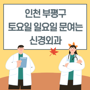 인천 부평구 토요일 일요일 신경외과 진료 병원 리스트