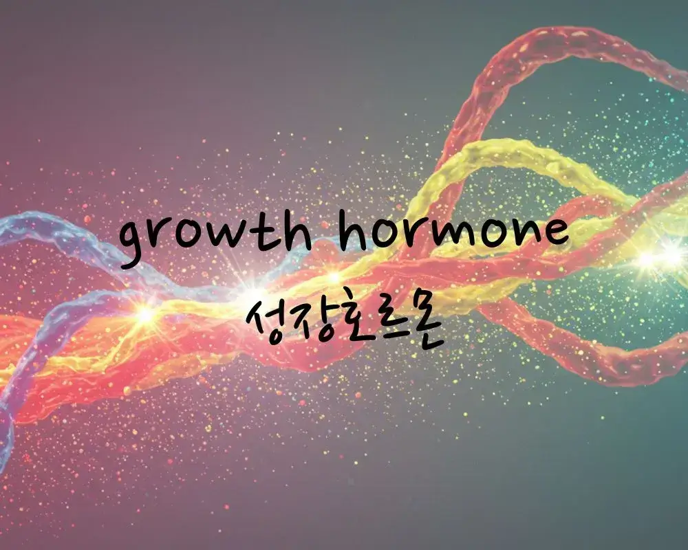 성장호르몬 역할 부족 현상
