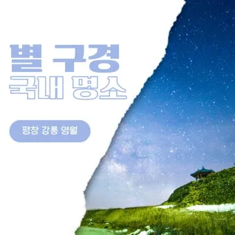 평창 가볼만한곳 베스트10 대관령 양떼목장 허브나라 드라이브_24