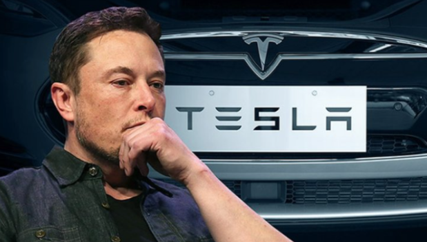 M7(Magnificent Seven), Tesla