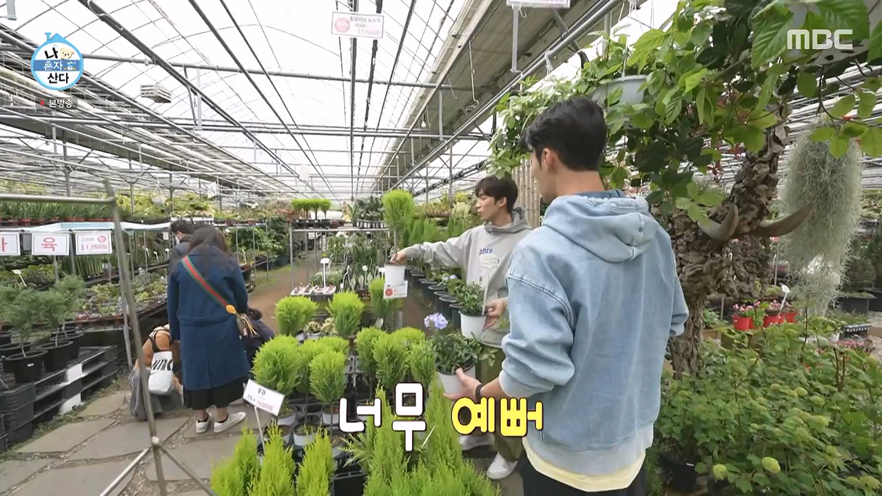 조인폴리아 근처 맛집