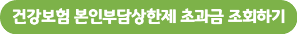건강보험-본인부담금상한액-초과금-조회하기-버튼