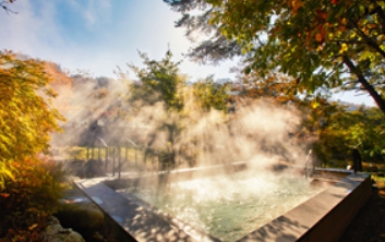 겨울/힐링/여행/추천/포레스트해브나인