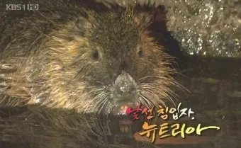 손에 쥐가 나는 이유와 해결 방법_21