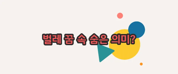 벌레 꿈해몽 함께 알아보죠