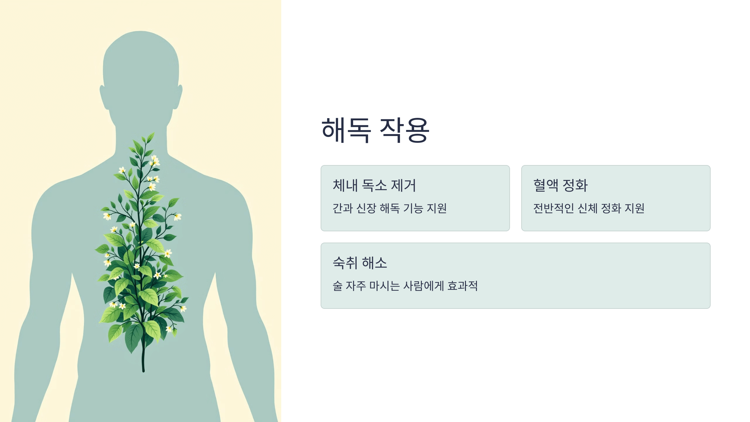 어성초 사진입니다.