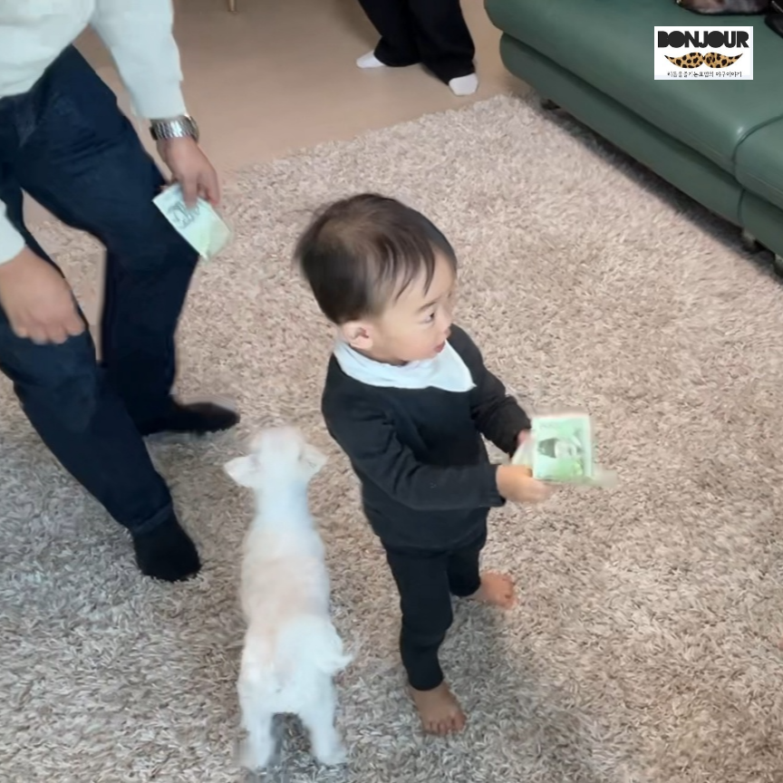 아기 첫걸음마 발달 이정표