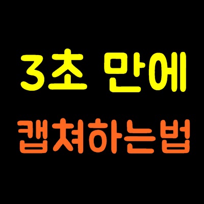 컴퓨터 캡쳐하는법