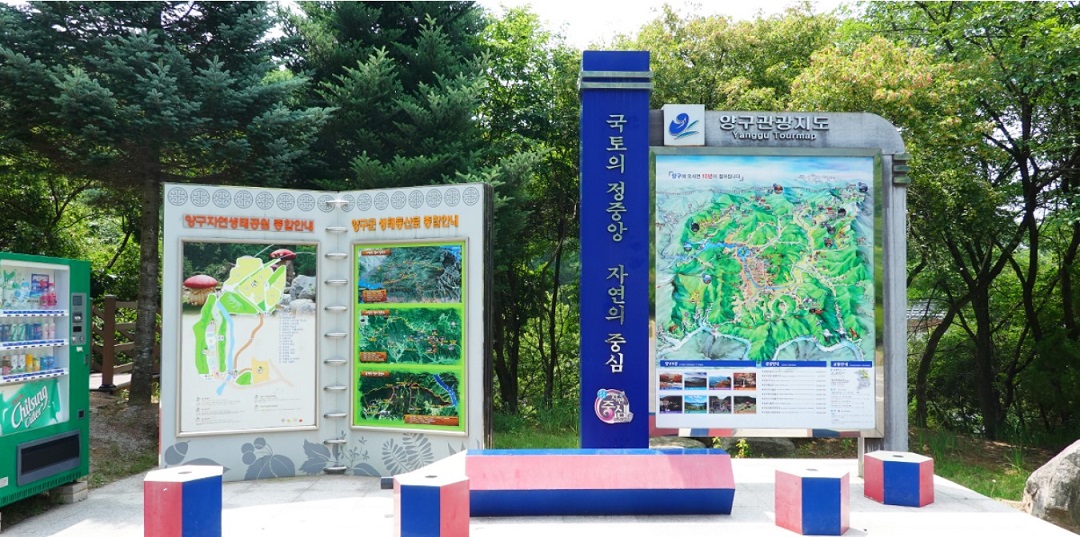 양구수목원
