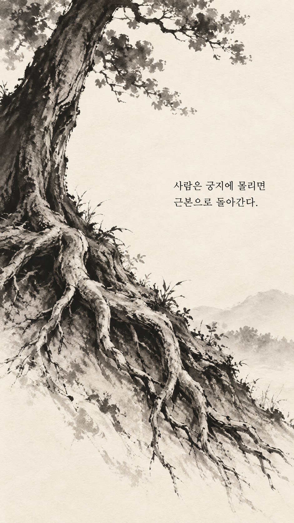 사마천 명언 20 사람은 궁지에 몰리면 근본으로 돌아간다. 언덕 아래 드러난 오래된 나무뿌리 수묵화 이미지