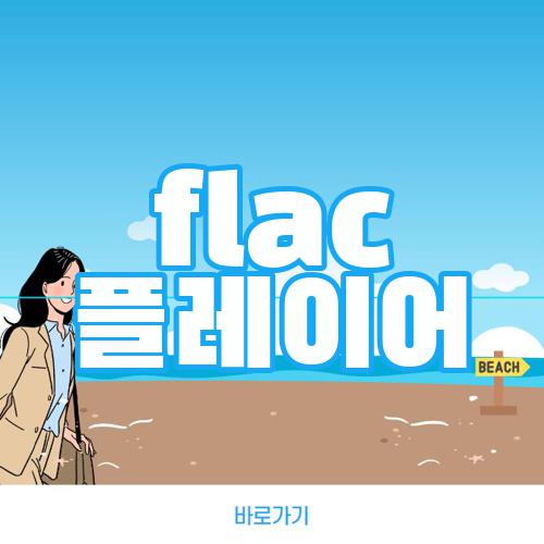 flac 플레이어
