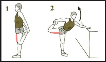 대퇴사두근 스트레칭