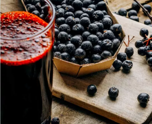 아로니아-먹는방법-및-부작용