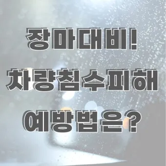 장마 시작 강수량 비 예보 배수구 점검 누수 예방 팁_13