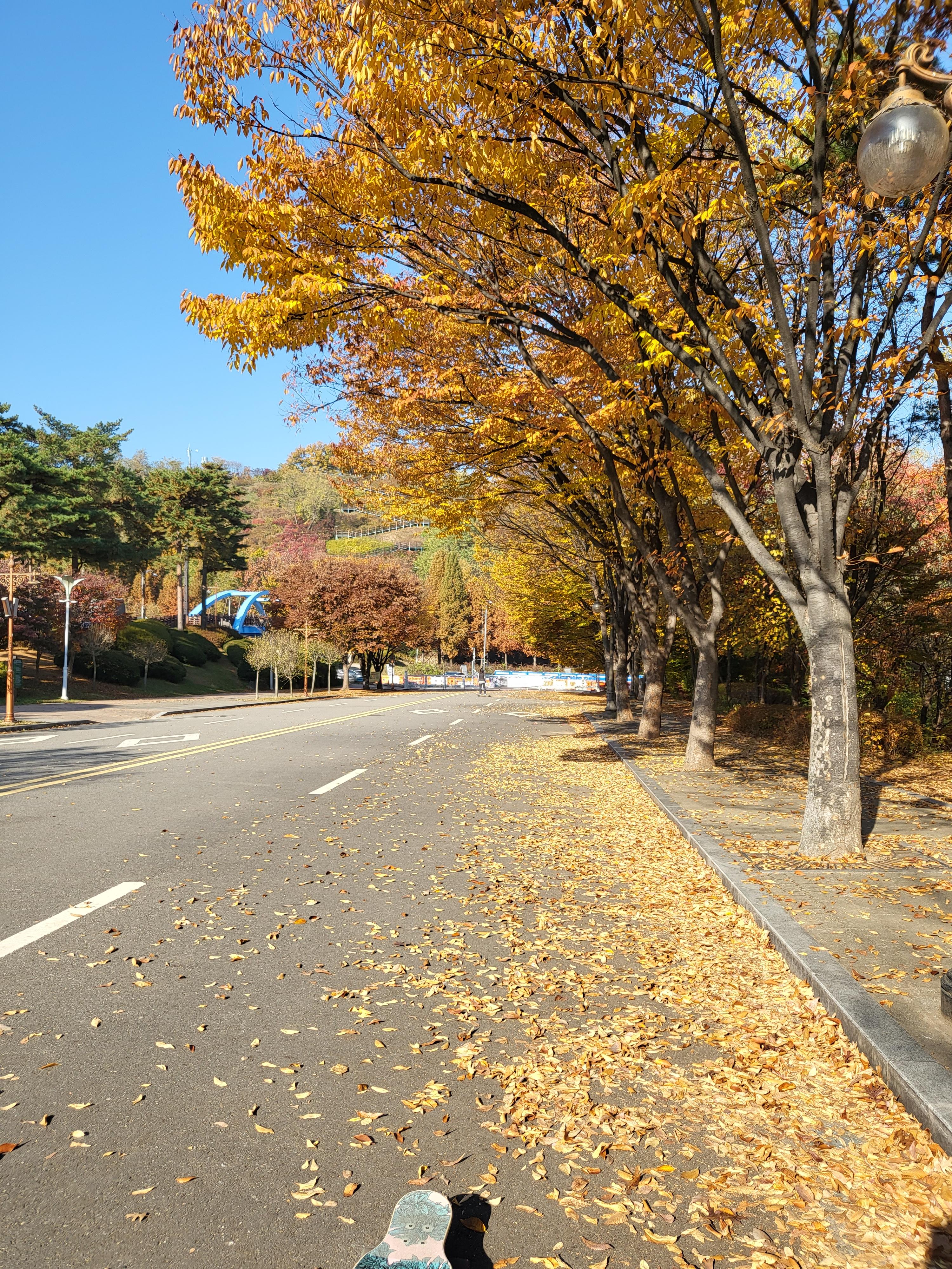 가을날의 공원