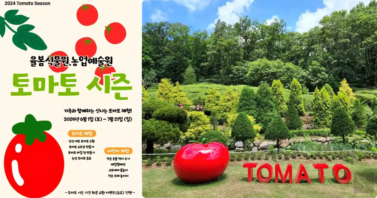율봄식물원 토마토 시즌