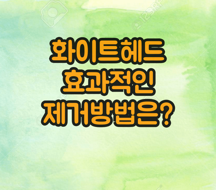 화이트헤드 제거방법