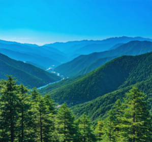 구인두-편도암-HPV-비관련