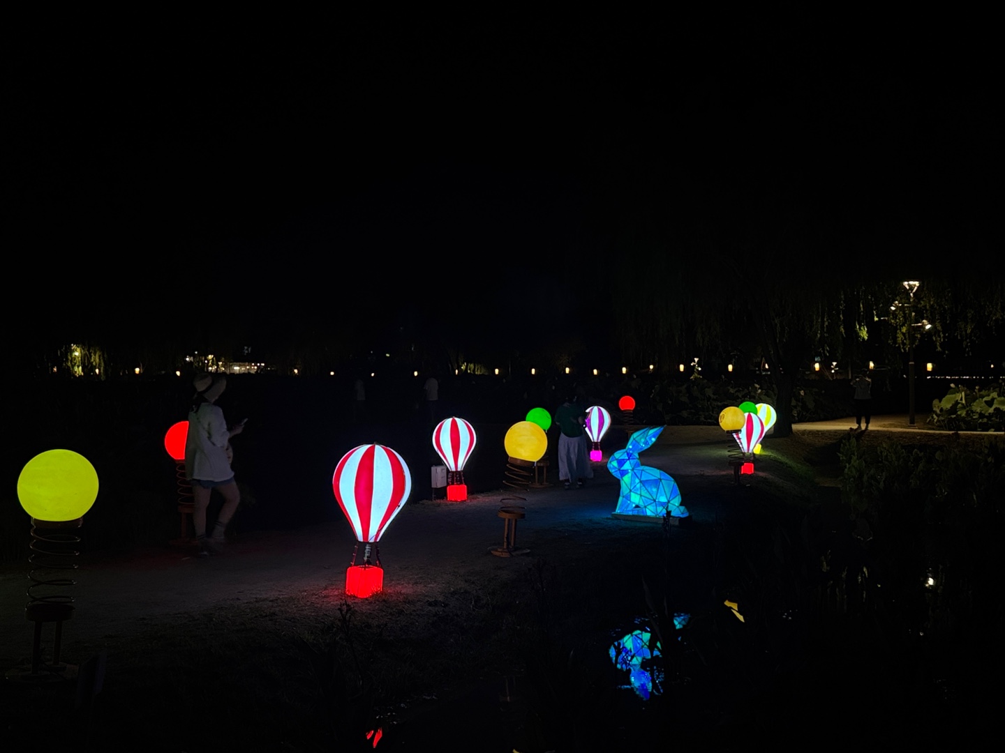 궁남지 연꽃 야경