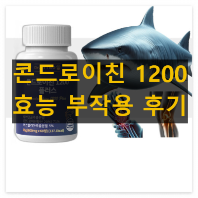 철갑상어 콘드로이친 1200