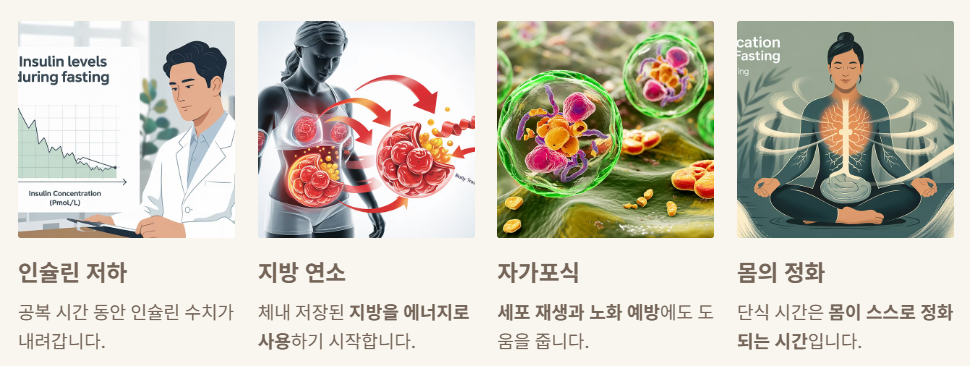 공복시간의 진짜효과