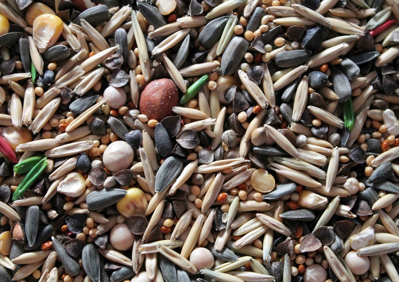 건강 트렌드 관련 사진