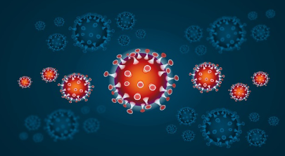 우리 몸의 방어 시스템 쉽게 이해하기