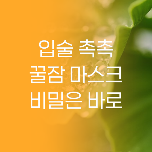 프레티 립 슬리핑 마스크팩, 꿀잠 자