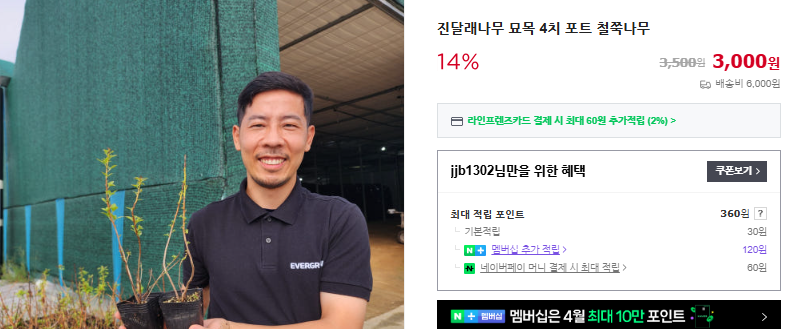 진달래 개화 시기 및 꽃말 (+ 축제 철쭉 구분)