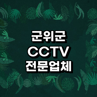 대구 군위군 cctv