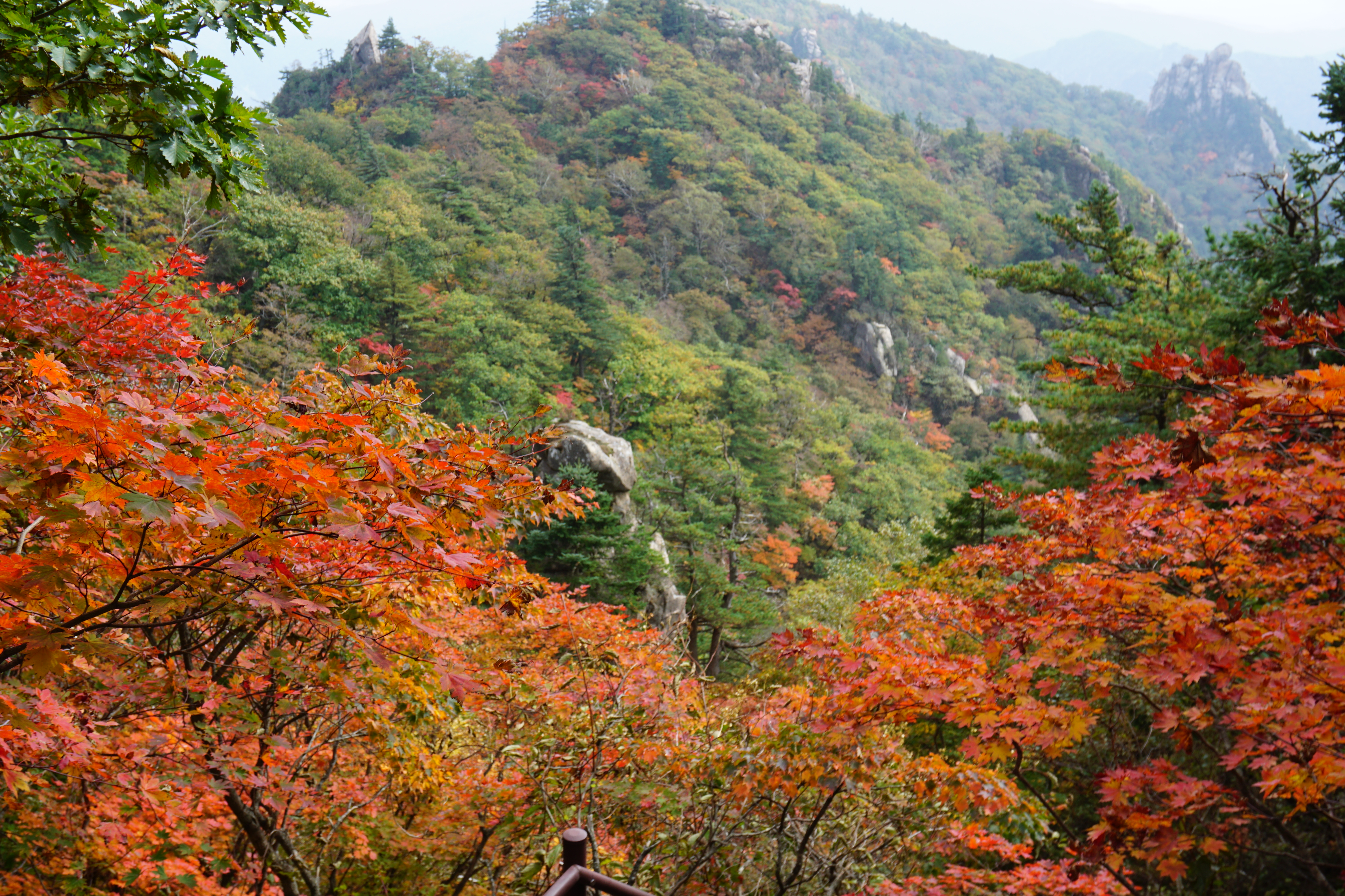 설악산단풍-8