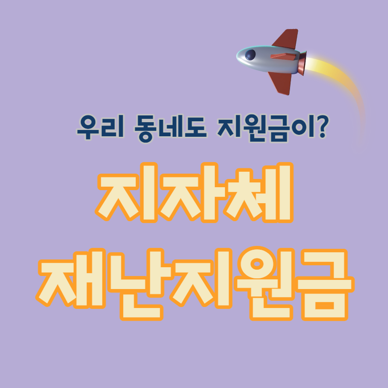 지자체 재난지원금