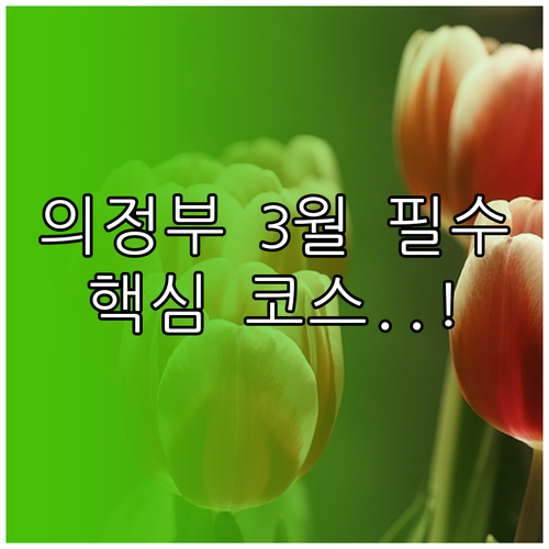 3월 의정부 가볼만한곳 중랑천 산책로..