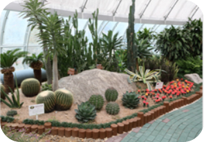 동천자연식물원 이미지 출처: 동천자연식물원 홈페이지