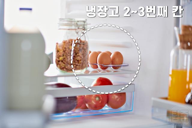 달걀 보관방법 ,냉장고 달걀 보관온도,팁줌